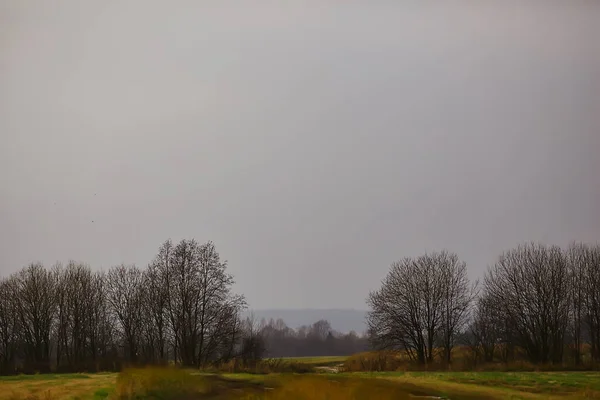 Otoño Taiga Bosque Paisaje Naturaleza Vista Caer Las Montañas — Foto de Stock