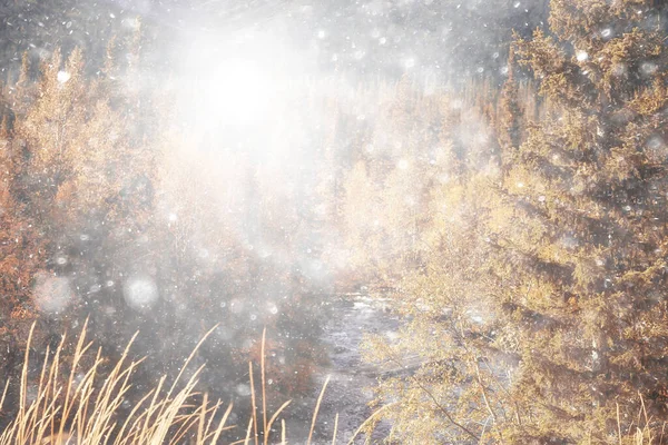 Herfst Sneeuw Landschap Achtergrond Natuur Uitzicht Achtergrond Winter Eerste Sneeuw — Stockfoto