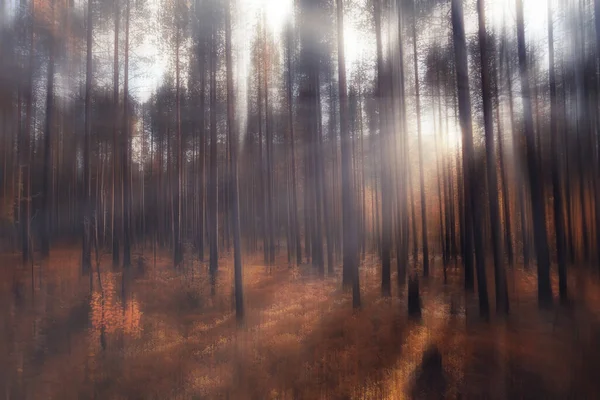 Suddig Bakgrund Höst Natur Landskap Abstrakt Suddig Bokeh Syn Fallträd — Stockfoto