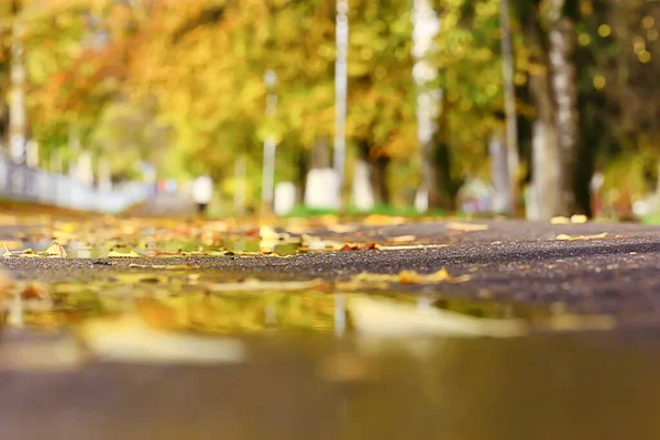 Alley Autumn Park Landscape Fall Yellow Road Seasonal Landscape October — Stock Photo, Image