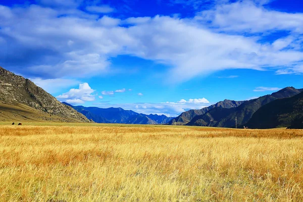 Altai Górski Krajobraz Panorama Jesienny Krajobraz Tło Widok Jesień — Zdjęcie stockowe