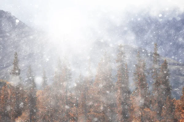 Herbst Schnee Landschaft Hintergrund Natur Blick Hintergrund Winter Ersten Schnee — Stockfoto