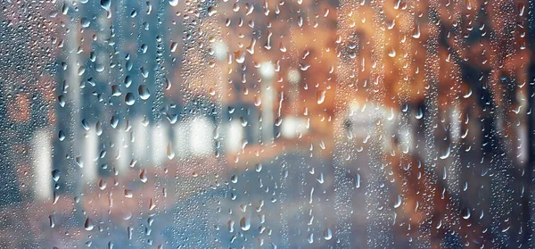 Lluvia Fondo Otoño Paisaje Parque Abstracto Estacional Nadie Tiempo Octubre —  Fotos de Stock