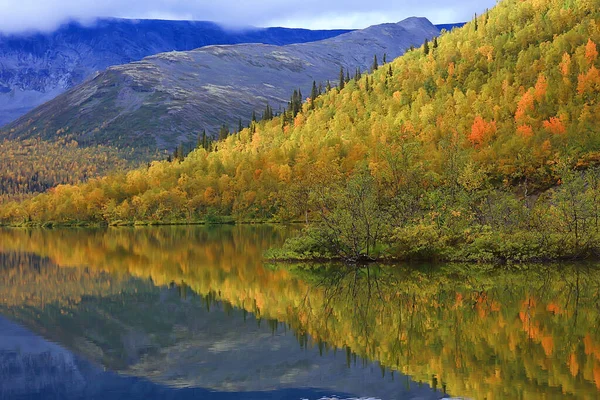 Altai Dağ Manzarası Panorama Sonbahar Manzarası Arka Plan Sonbahar Doğa — Stok fotoğraf