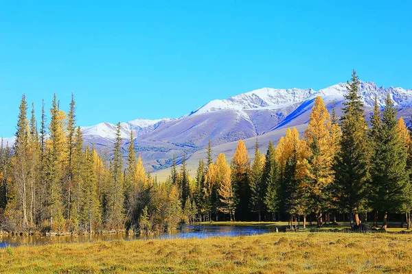 Altai Montaña Paisaje Panorama Otoño Paisaje Fondo Caída Naturaleza Vista —  Fotos de Stock