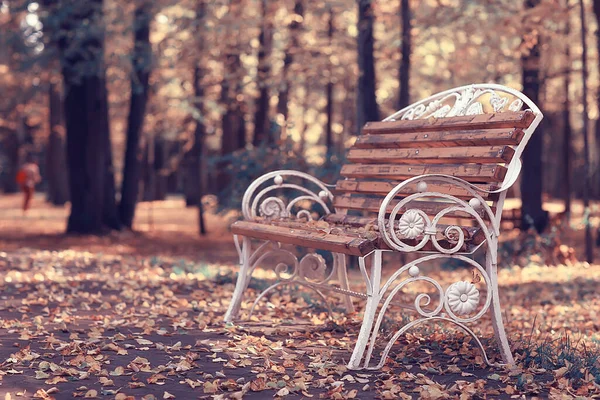 秋の公園のベンチ抽象的な風景レジャーウォーク穏やかな生活の概念 — ストック写真
