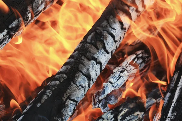 Fire Coals Background Burns Fire Tree Firewood — Stock Photo, Image