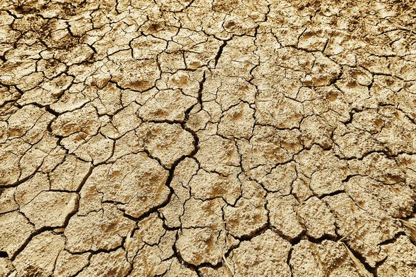 Texture Deserto Siccità Fondo Astratto Terra Incrinato Riscaldamento Globale — Foto Stock