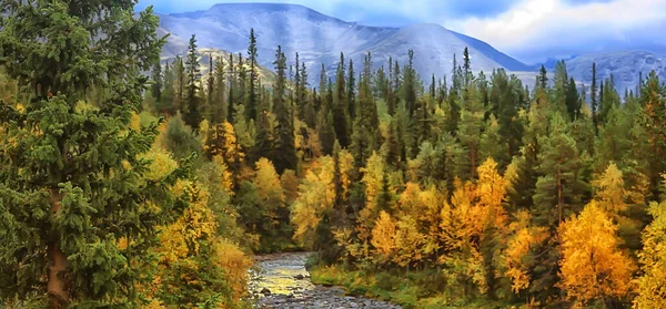 Höst Skog Berg Panorama Landskap Träd Natur Gul Säsong — Stockfoto