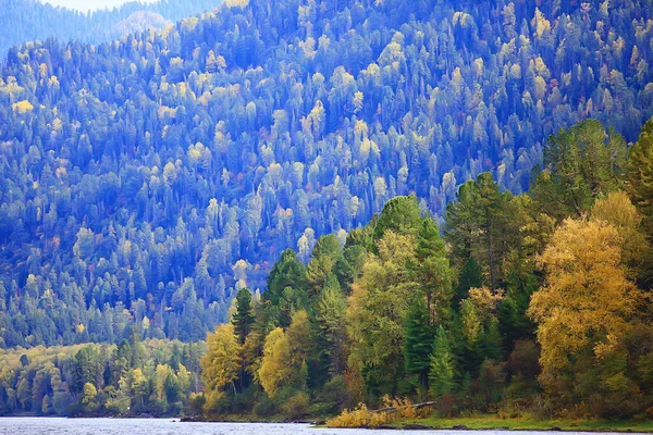 Höst Taiga Skog Landskap Natur Utsikt Faller Bergen — Stockfoto