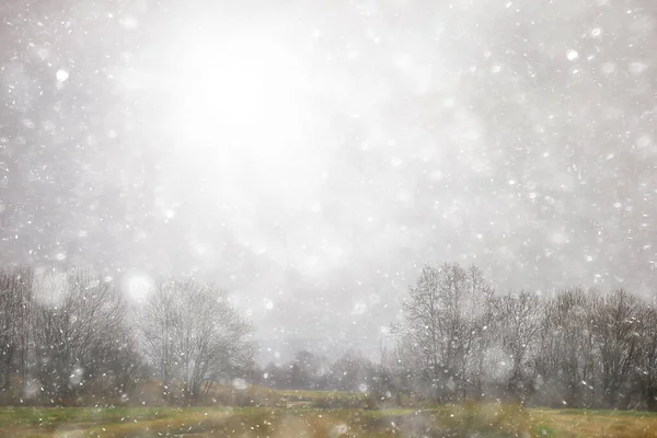 Herfst Sneeuw Landschap Achtergrond Natuur Uitzicht Achtergrond Winter Eerste Sneeuw — Stockfoto