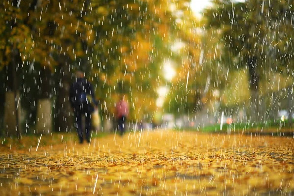 Rain Background Autumn Landscape Park Abstract Seasonal Nobody Weather October — Stock Photo, Image