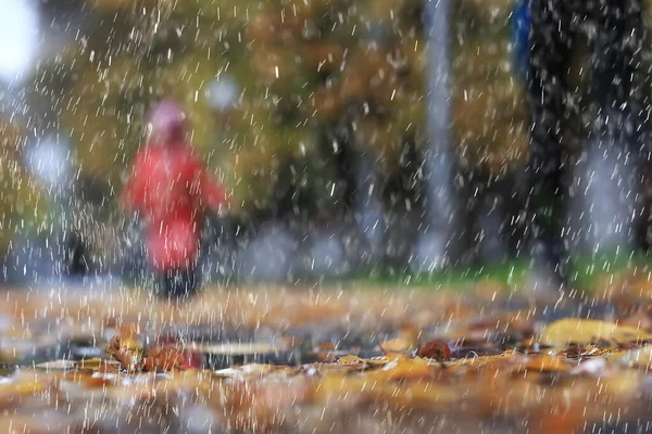 Abstracte Herfst Achtergrond Regen Bladeren Behang Park — Stockfoto