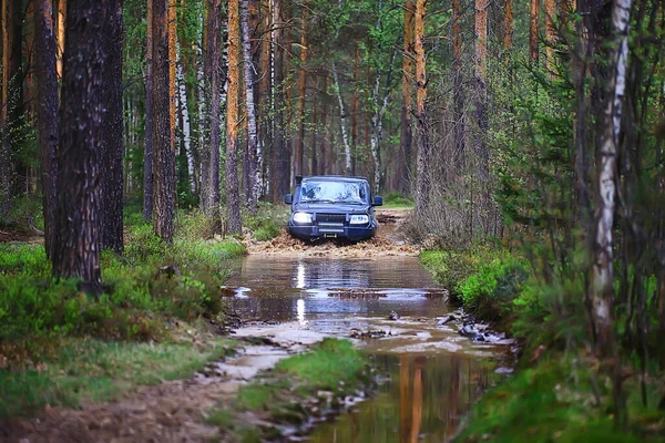 Suv Forêt Gué Travers Rivière Tourisme Routier Extrême Sur — Photo