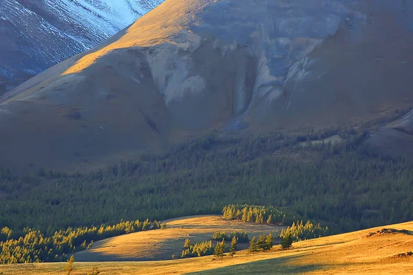 Altai Hegyi Táj Panoráma Őszi Táj Háttér Őszi Természet Kilátás — Stock Fotó