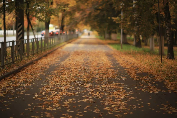 Abstrakte Verschwommene Herbst Hintergrund Park Stadt Herbst Natur Oktober — Stockfoto