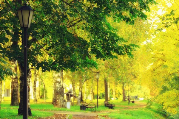 Gasse Herbst Parklandschaft Herbst Gelbe Straße Saisonale Landschaft Oktober Der — Stockfoto