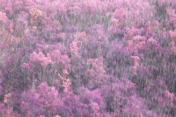 Αφηρημένο Φθινόπωρο Φόντο Βροχή Φύλλα Ταπετσαρία Πάρκο — Φωτογραφία Αρχείου