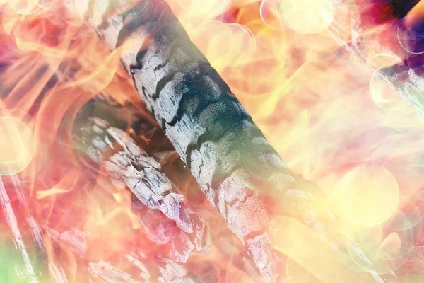 Φωτιά Κάρβουνα Φόντο Καίει Καυσόξυλα Δέντρο — Φωτογραφία Αρχείου