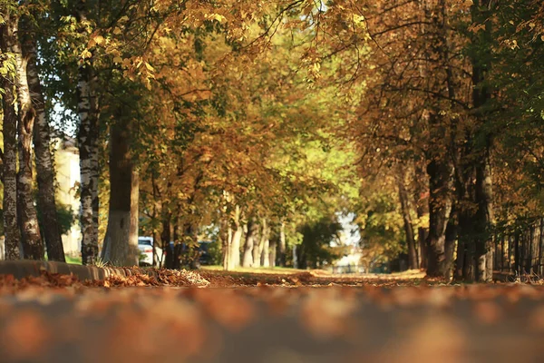 秋天的背景公园 城市秋天的自然 — 图库照片