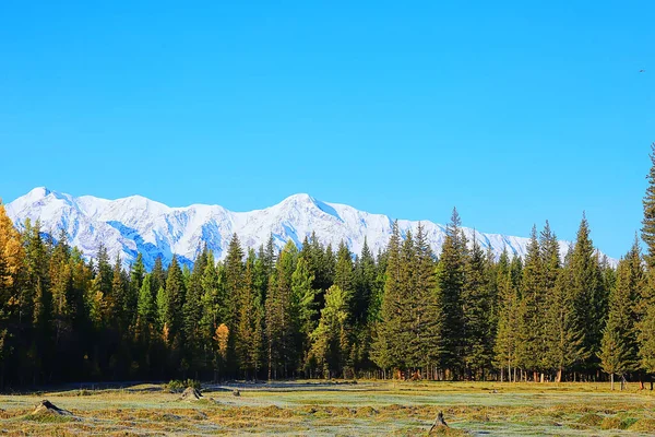 Otoño Taiga Bosque Paisaje Naturaleza Vista Caer Las Montañas — Foto de Stock