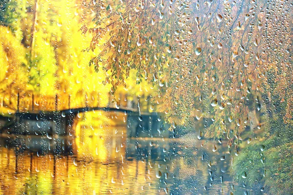Regen Achtergrond Herfst Landschap Park Abstract Seizoen Niemand Weer Oktober — Stockfoto