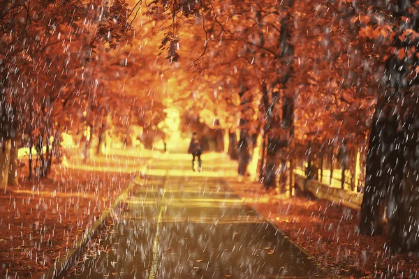 Дождевой Фон Осенний Ландшафтный Парк Абстрактные Сезонные Никому Погода Октябрь — стоковое фото