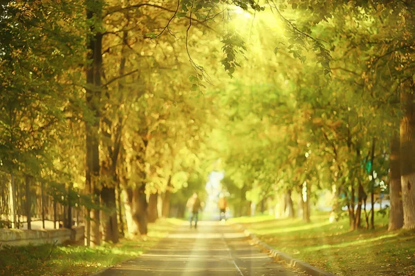 Sonnige Landschaft Herbst Park Herbst Jahreszeit Hintergrund Orange Park — Stockfoto