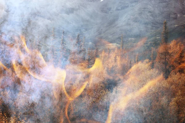 Лесной Пожар Фон Пейзаж Абстрактный Пожар Дым Лесу Засуха Деревья — стоковое фото