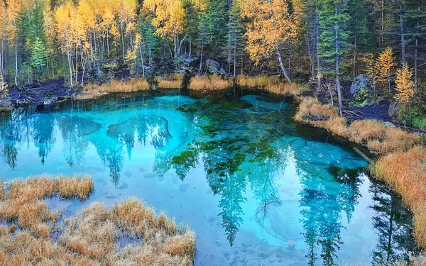 Natursköna Höst Landskap Träd Och Skog Flod Och Sjö Natur — Stockfoto