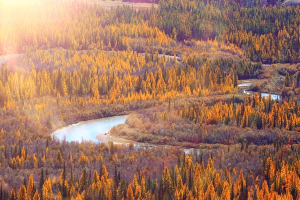 Γραφικό Φθινοπωρινό Τοπίο Δέντρα Και Δάσος Ποτάμι Και Λίμνη Θέα — Φωτογραφία Αρχείου