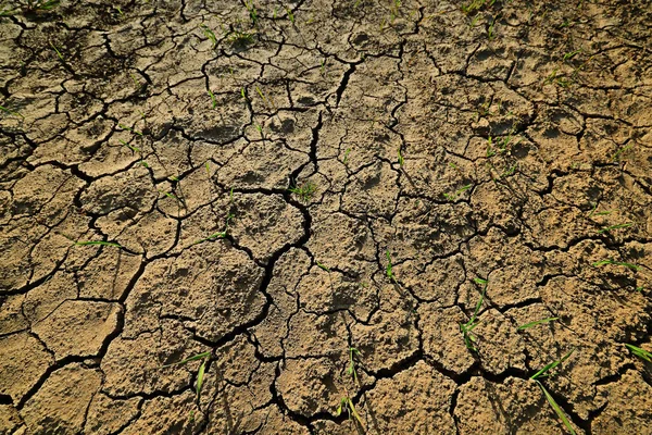 Текстура Пустелі Посушливий Фон Абстрактна Земля Тріснула Потепління Глобальне — стокове фото