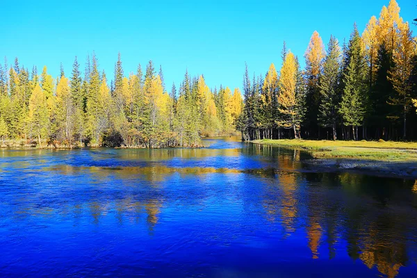 Panoramico Alberi Paesaggio Autunnale Foresta Fiume Lago Vista Sulla Natura — Foto Stock
