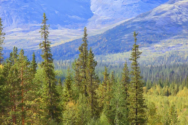 Altai Montaña Paisaje Panorama Otoño Paisaje Fondo Caída Naturaleza Vista — Foto de Stock