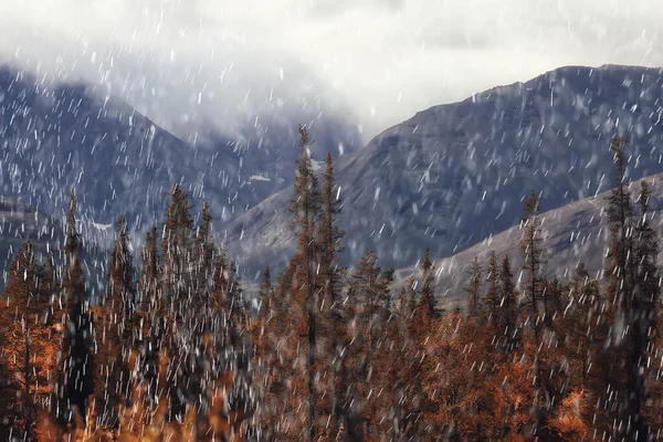 autumn landscape nature rain drops weather wet outdoor landscape view autumn weather