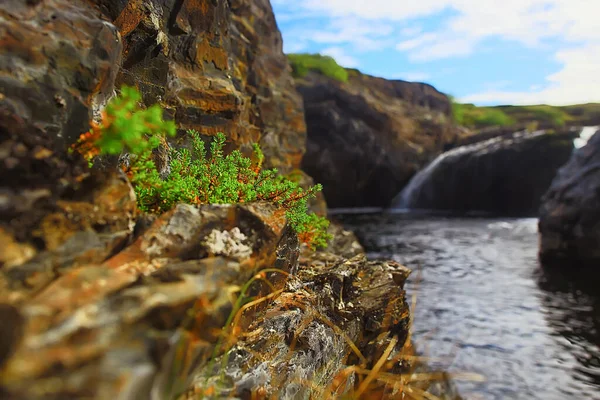 Península Medio Pesca Paisaje Kola Montañas Colinas Piedras Vista — Foto de Stock