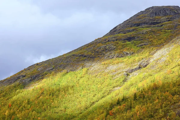 Höst Taiga Skog Landskap Natur Utsikt Faller Bergen — Stockfoto