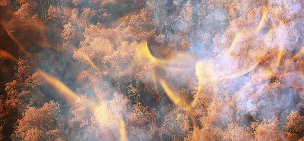 Paysage Fond Feu Forêt Feu Abstrait Fumée Dans Forêt Les — Photo