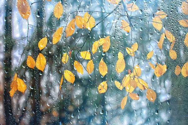 Abstrakter Hintergrund Herbst Glas Tropfen Herbst Gelb Blätter Feuchtes Oktoberwetter — Stockfoto