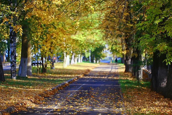 Alley Autumn Park Landscape Fall Yellow Road Seasonal Landscape October — Stock Photo, Image