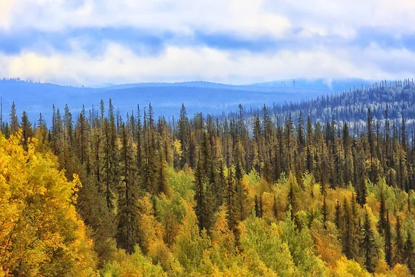 Autumn Forest Mountains Panorama Landscape Trees Nature Yellow Season — Stock Photo, Image