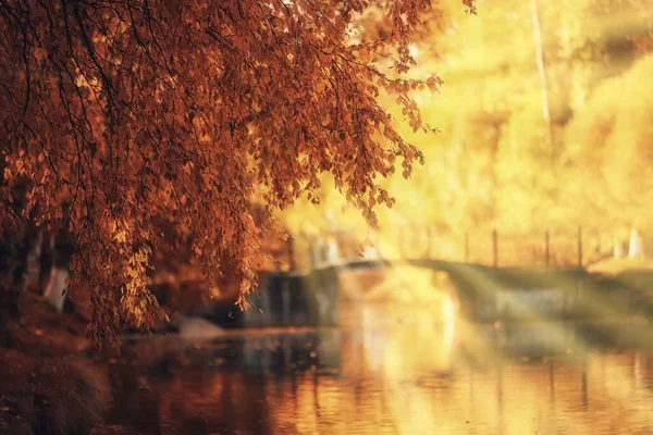 Sunny Landscape Fall Park Autumn Season Background Orange Park — Stock Photo, Image