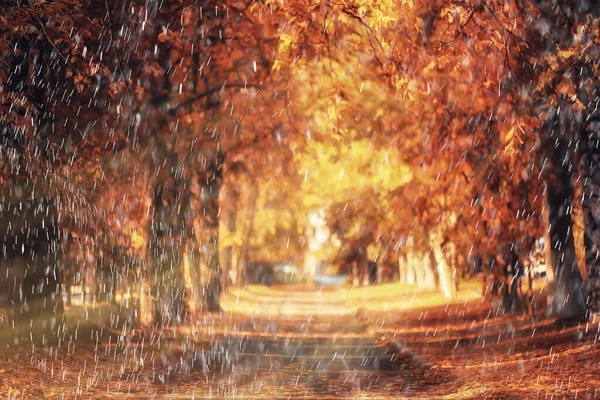 Rain Background Autumn Landscape Park Abstract Seasonal Nobody Weather October — Stock Photo, Image