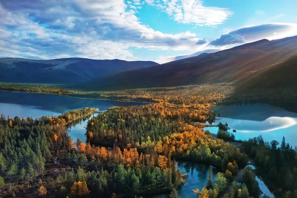 秋天森林群山全景 山水画 自然黄季 — 图库照片