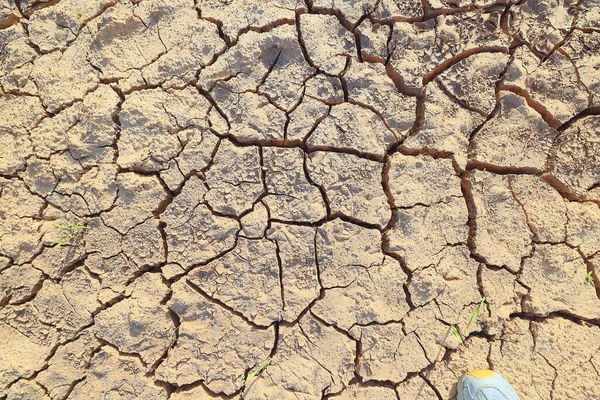 Посуха Польовому Сільському Господарстві Проблема Тепла Тріснула Землю — стокове фото