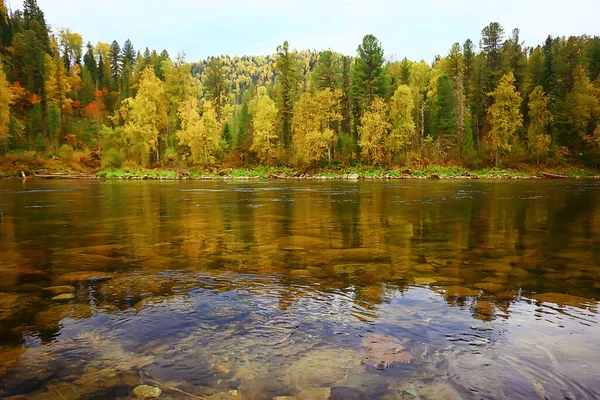 Panoramico Alberi Paesaggio Autunnale Foresta Fiume Lago Vista Sulla Natura — Foto Stock