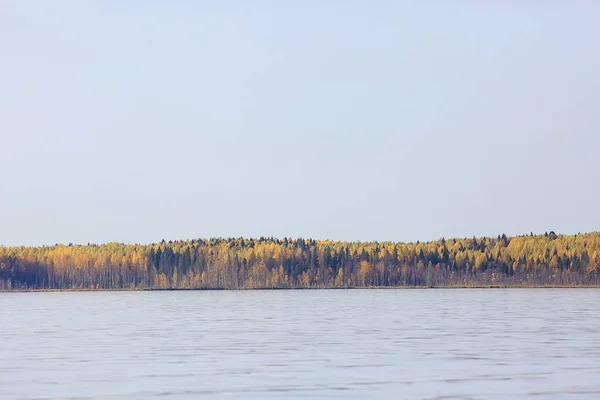 Abstract Background Texture Autumn Forest Yellow Trees Pattern Landscape View — Stock Photo, Image