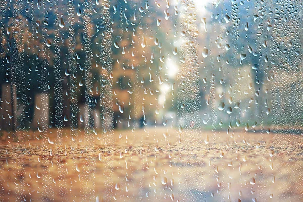 Rain Background Autumn Landscape Park Abstract Seasonal Nobody Weather October — Stock Photo, Image