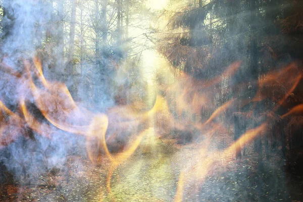 Δάσος Φωτιά Φόντο Τοπίο Αφηρημένη Φωτιά Και Τον Καπνό Στο — Φωτογραφία Αρχείου
