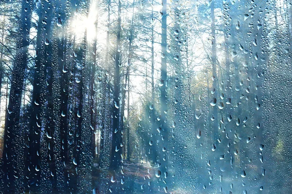 雨窗景观 水滴在玻璃景观 森林和山水景观背景上 — 图库照片
